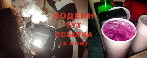 ГАЛЛЮЦИНОГЕННЫЕ ГРИБЫ Корсаков
