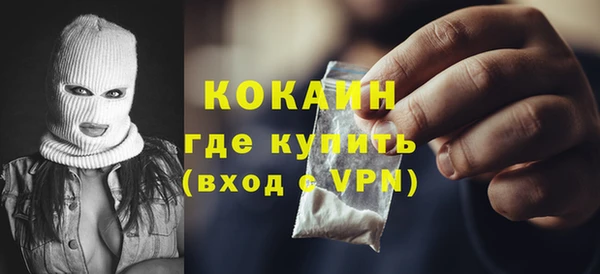ГАЛЛЮЦИНОГЕННЫЕ ГРИБЫ Корсаков