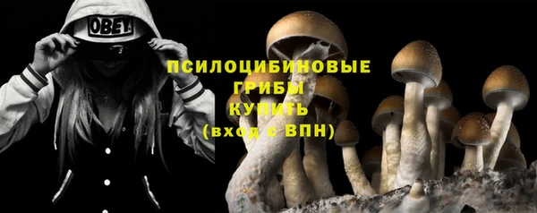 экстази Осташков