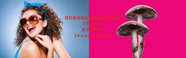 дурь Осинники
