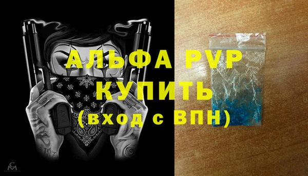 ГАЛЛЮЦИНОГЕННЫЕ ГРИБЫ Корсаков