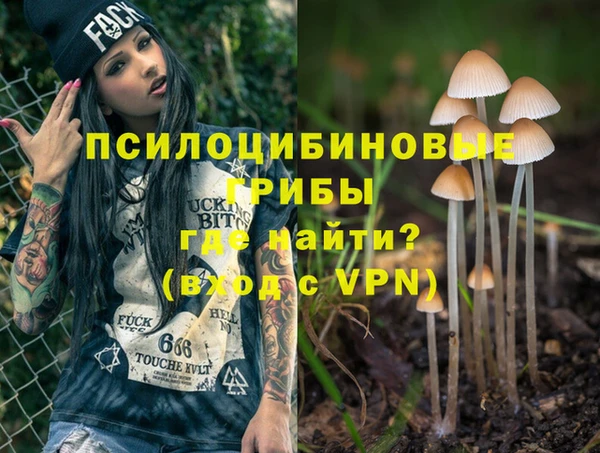 прущая мука Долгопрудный