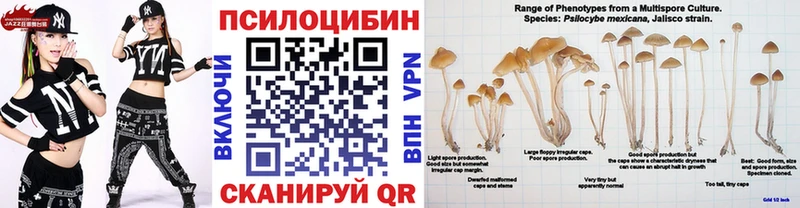 Галлюциногенные грибы Cubensis Мамадыш